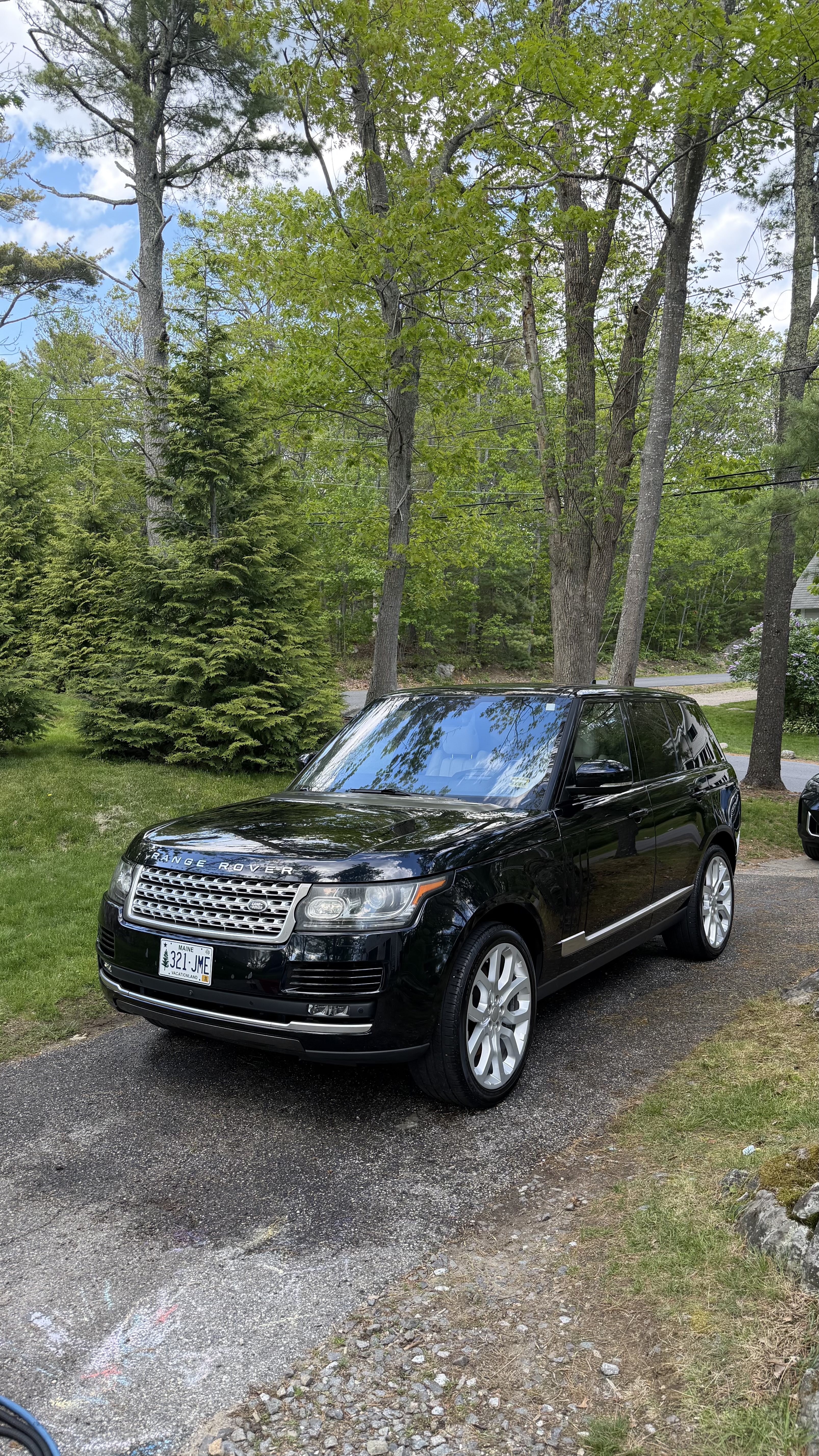 SUV parked among trees