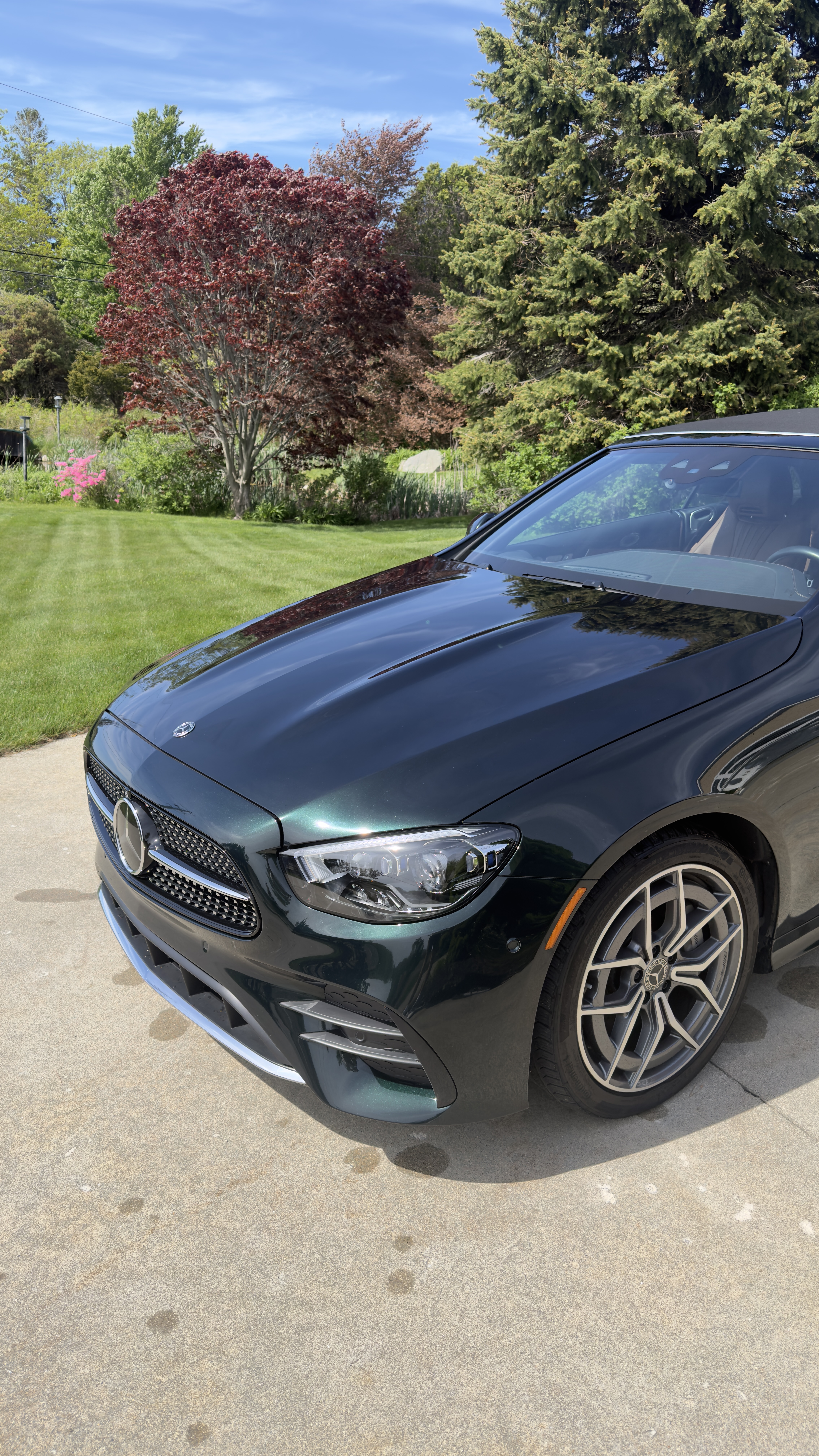 Front grille and headlight detail