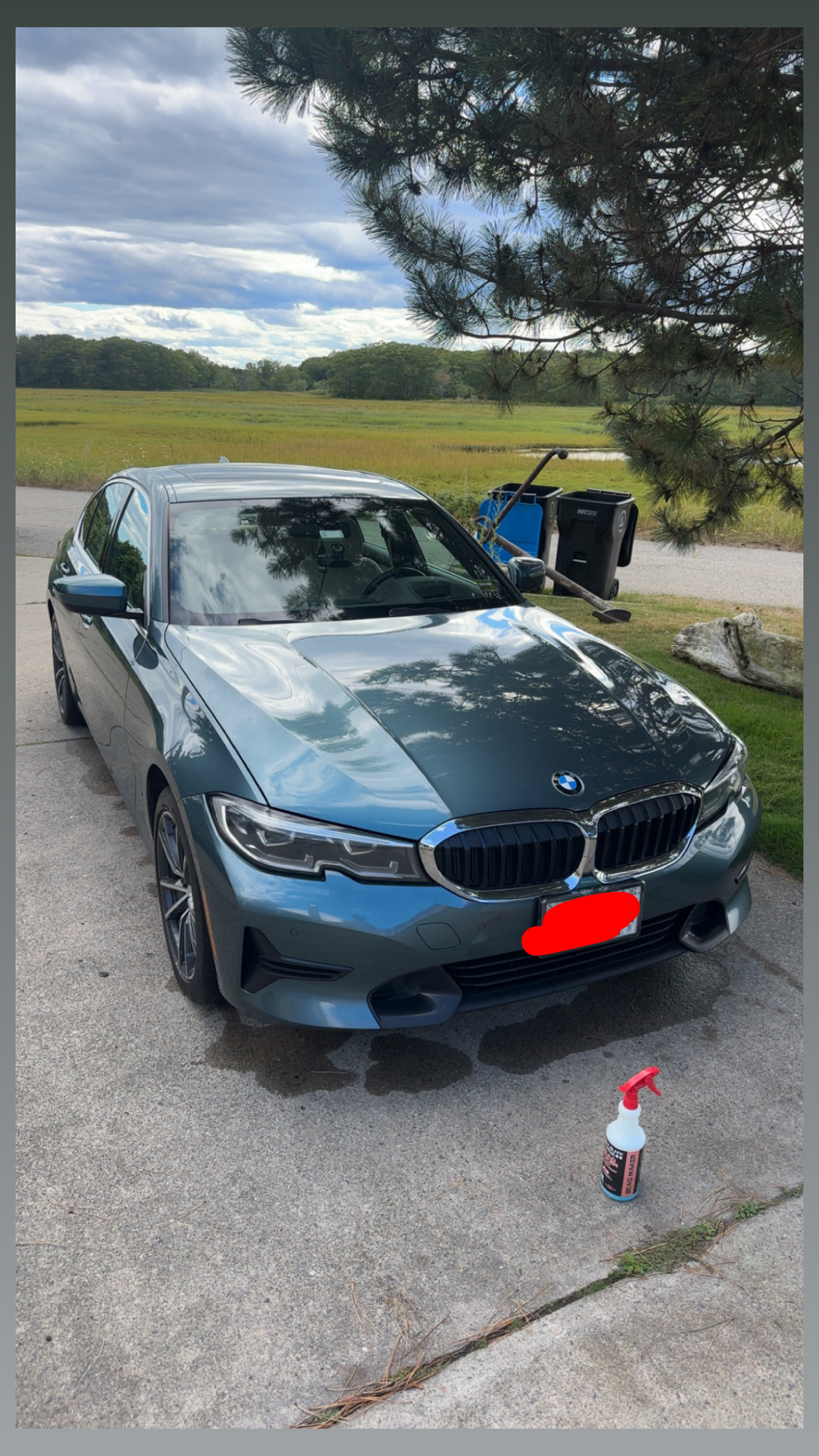 BMW front angle after wash